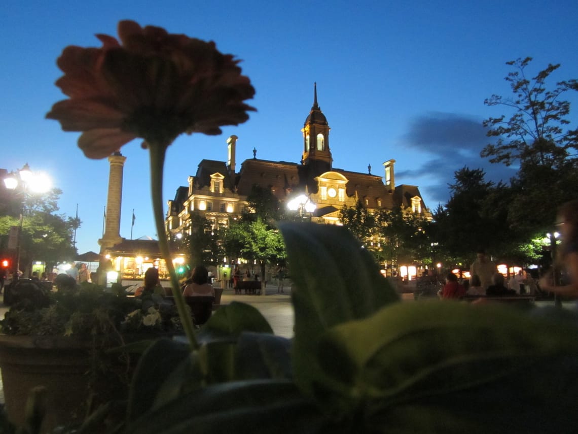 Moments with a Friend